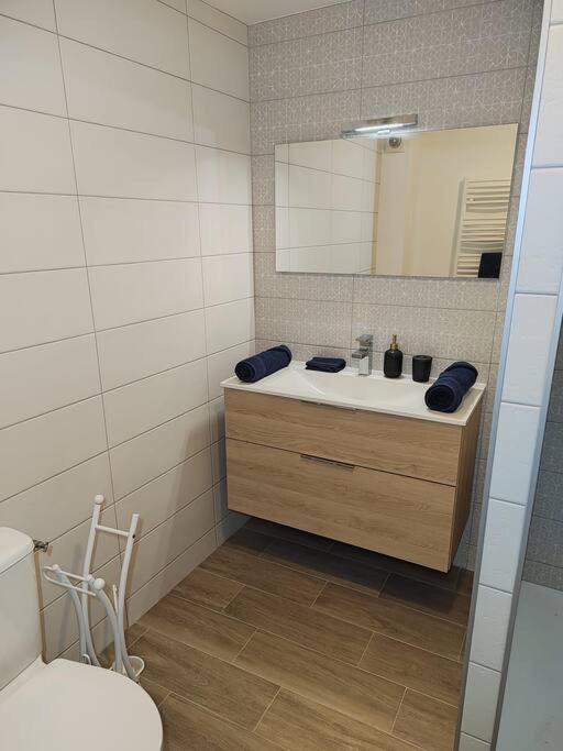 Apartamento T2 La Voute Gontardaise Les Granges-Gontardes Exterior foto